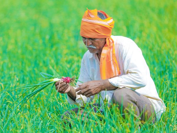 pm kisan non