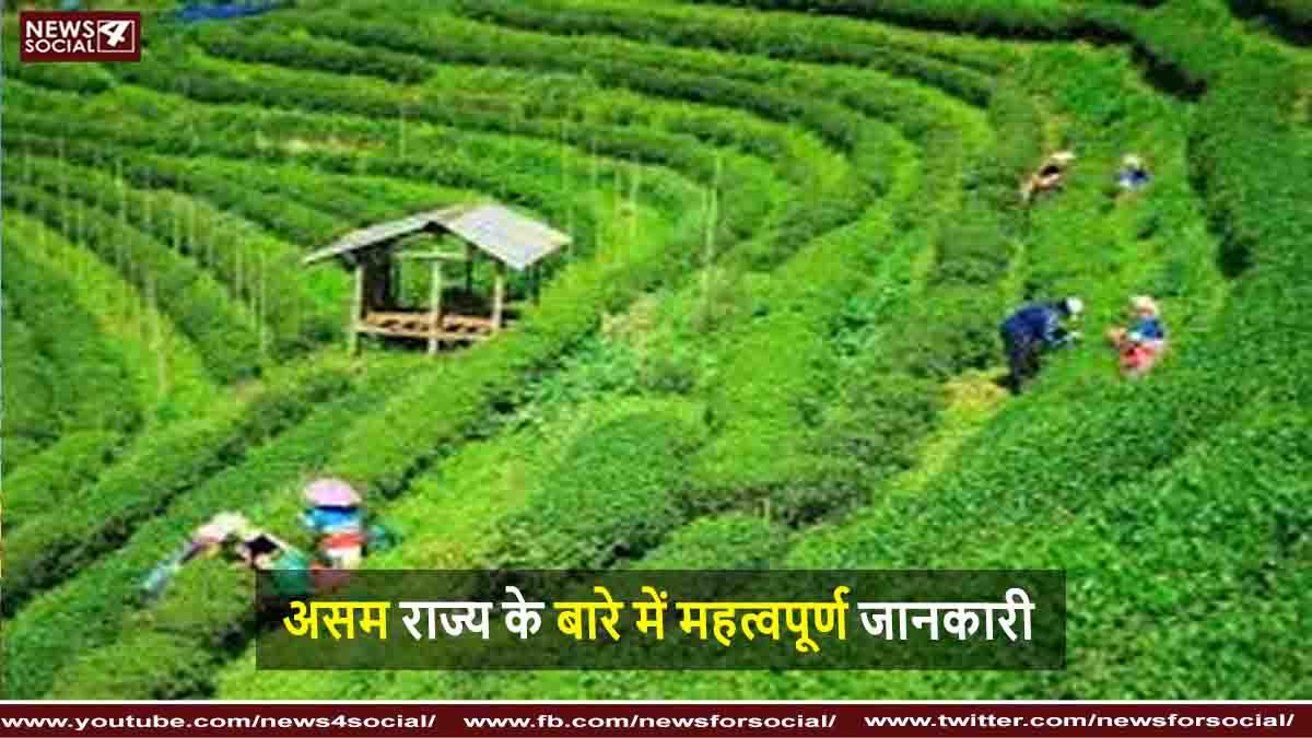 असम राज्य के बारे में महत्वपूर्ण जानकारी